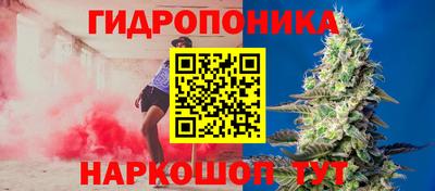 ПСИЛОЦИБИНОВЫЕ ГРИБЫ Татарск