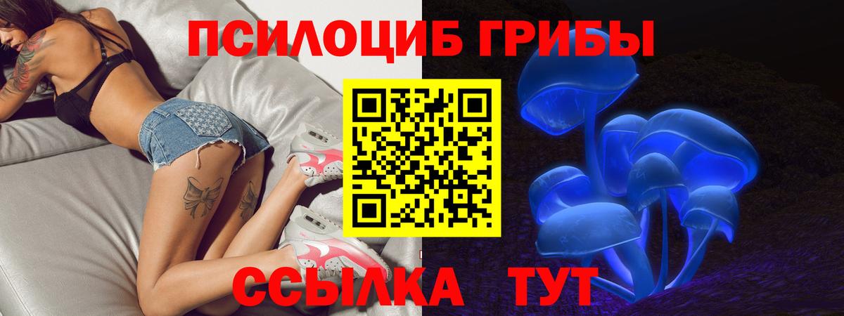 Павлово  закладка  Псилоцибиновые грибы Psilocybine cubensis  Вход с VPN  Псилоцибиновые грибы мицелий 
